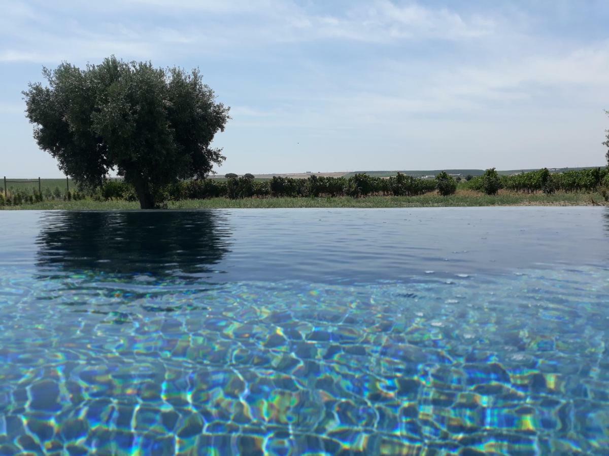 Terras - Agroturismo & Vinhos Beja Kültér fotó